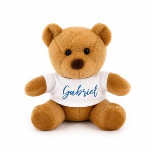 Regalos personalizados para momentos especiales – kit Quiero – Osito de peluche camiseta personalizada